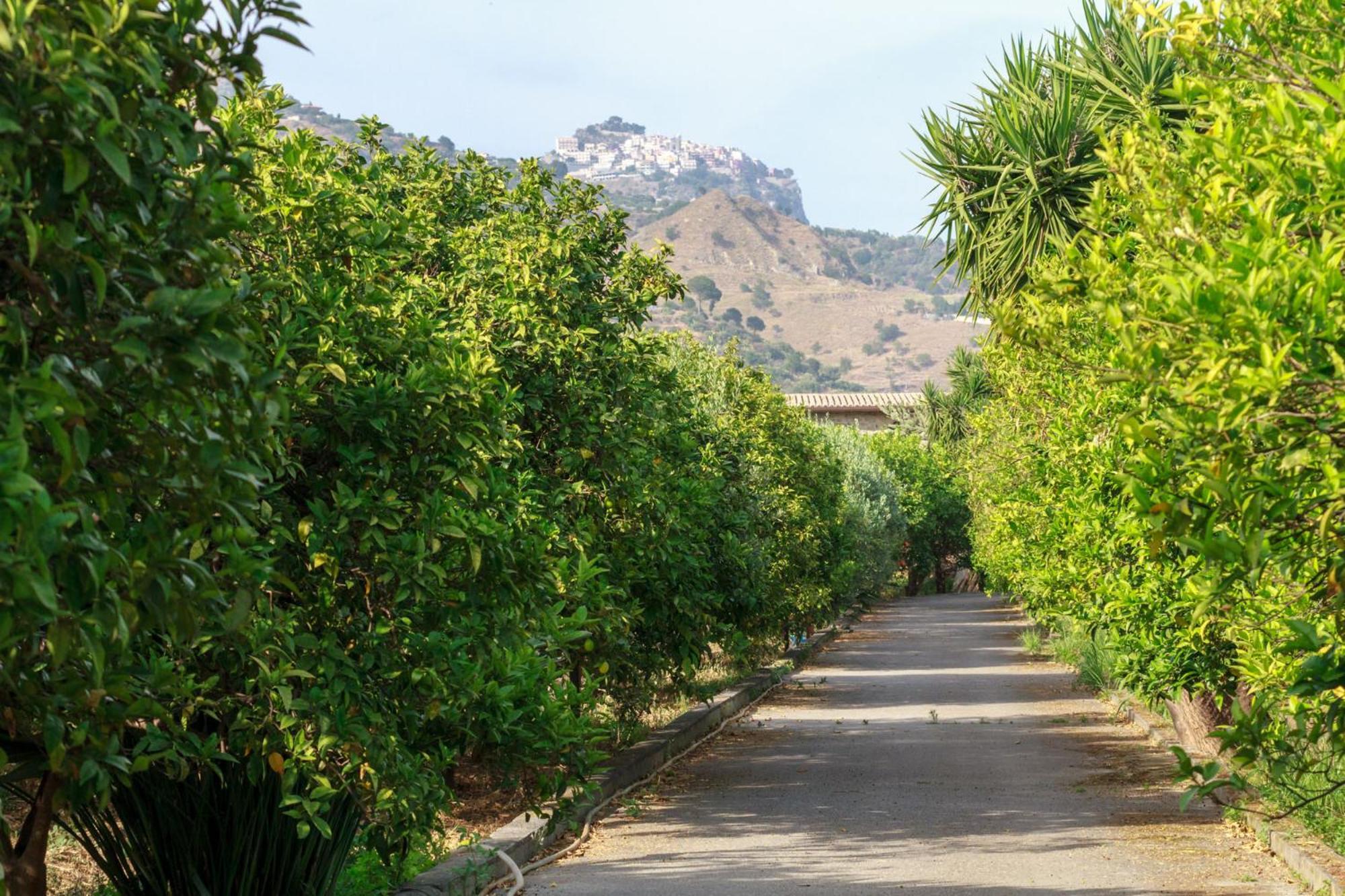 Lumia E Zagara Villa Taormina Exteriör bild